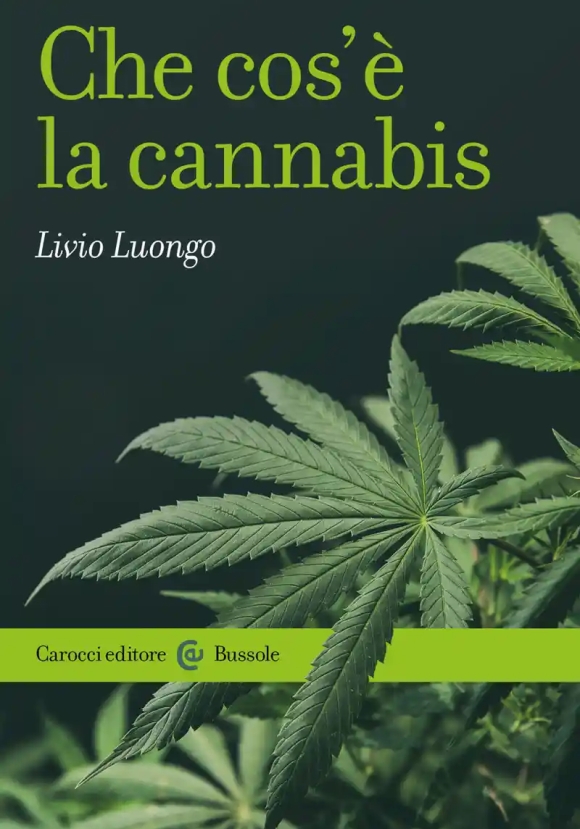 Che Cos'? La Cannabis