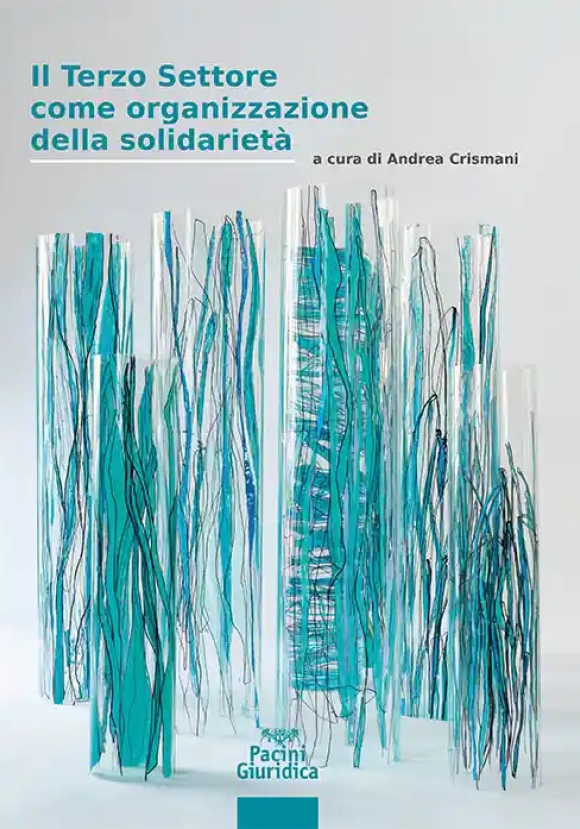 Il Terzo Settore Come Organizzazione Della Solidarieta'