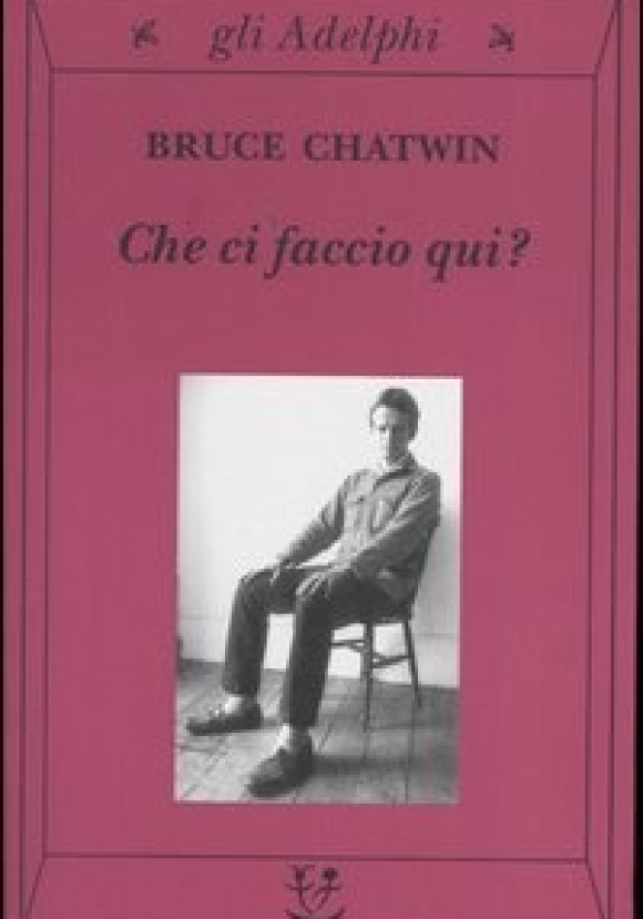 Che Ci Faccio Qui?