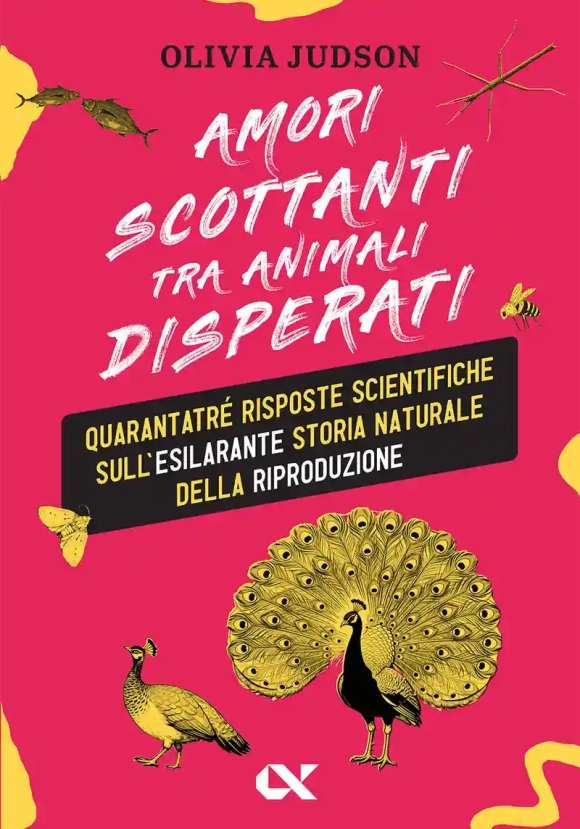 Amori Scottanti Tra Animali Disperati