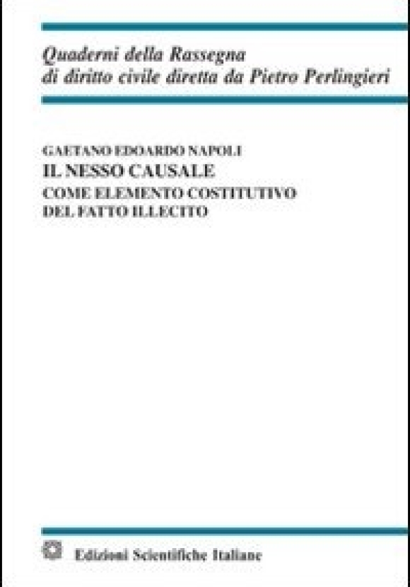 Nesso Causale