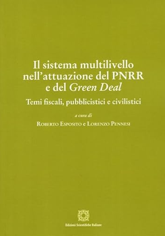 Sistema Multilivello Attuazion