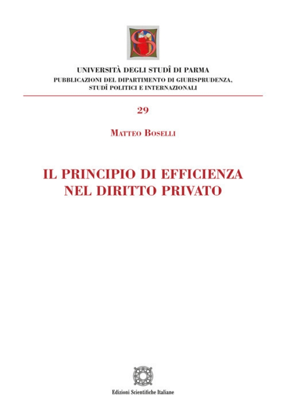 Principio Efficienza Diritto P