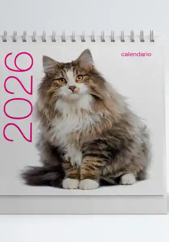 Gatti. Calendari Da Tavolo 2026