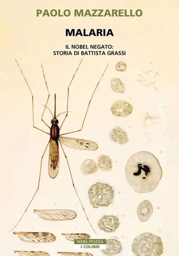 Malaria. Storia Di Battista Grassi Nobel Mancato