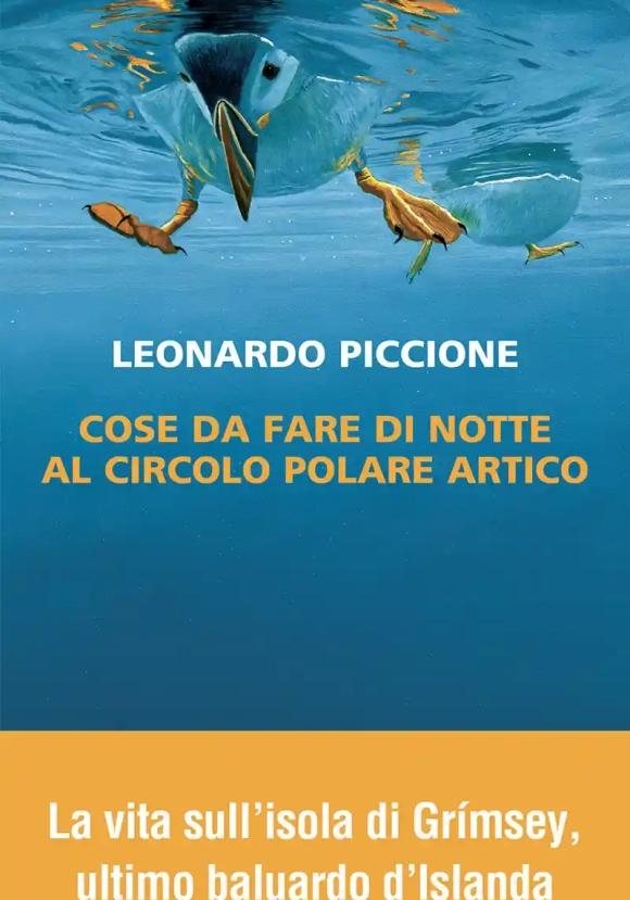 Cose Da Fare Di Notte Al Circolo Polare