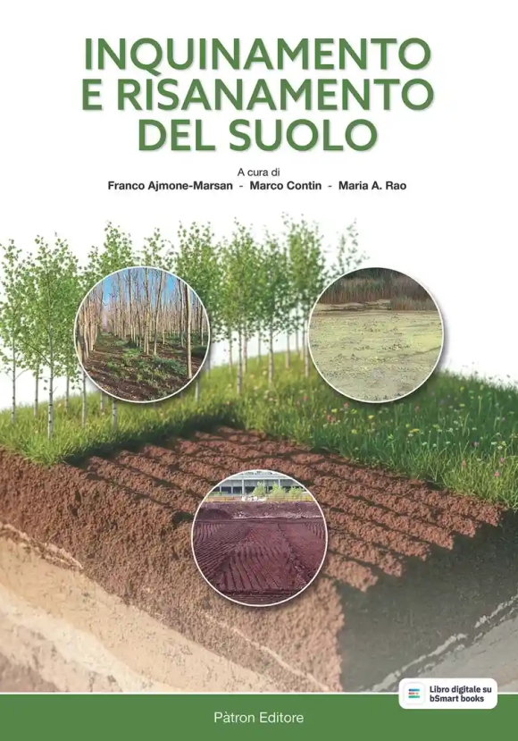 Inquinamento E Risamento