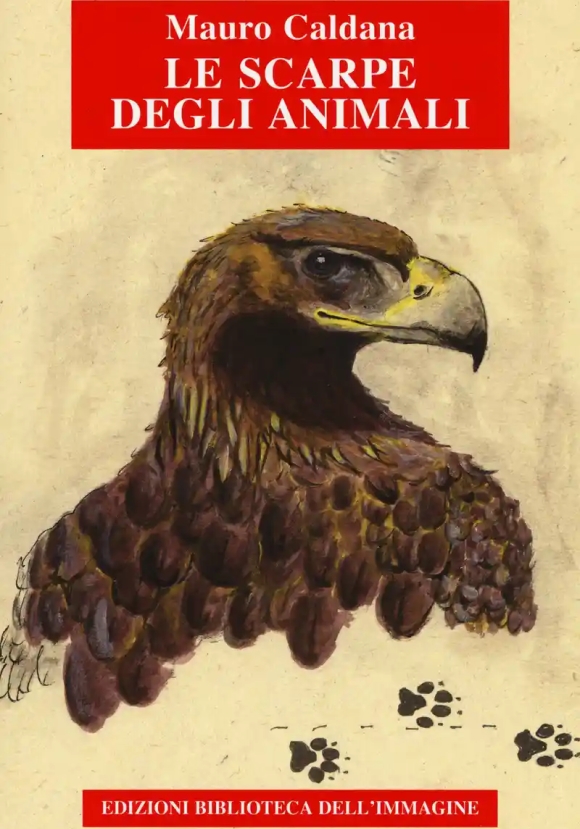 Scarpe Degli Animali