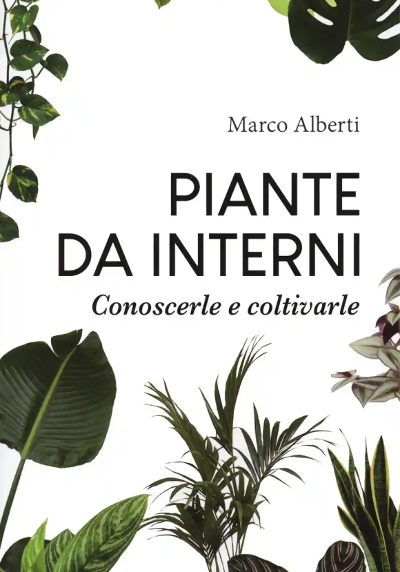 Piante Da Interni