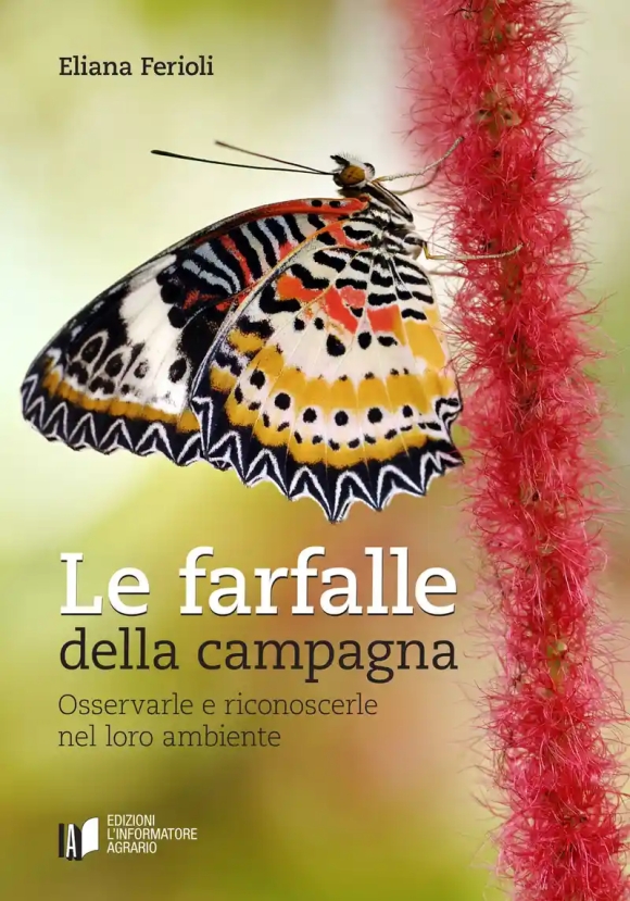 Farfalle Della Campagna
