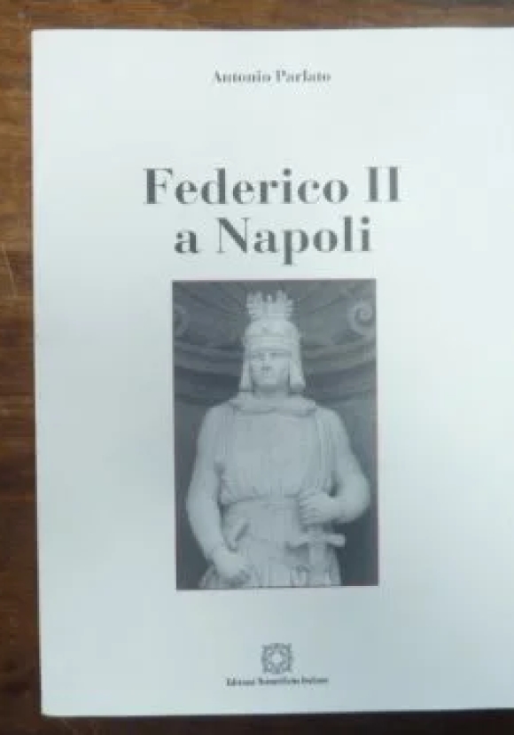 Federico Ii A Napoli