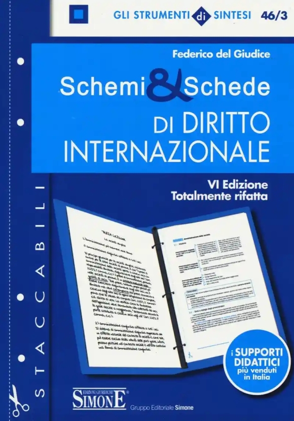 46/3 Schemi & Schede Di Diritto Internazionale