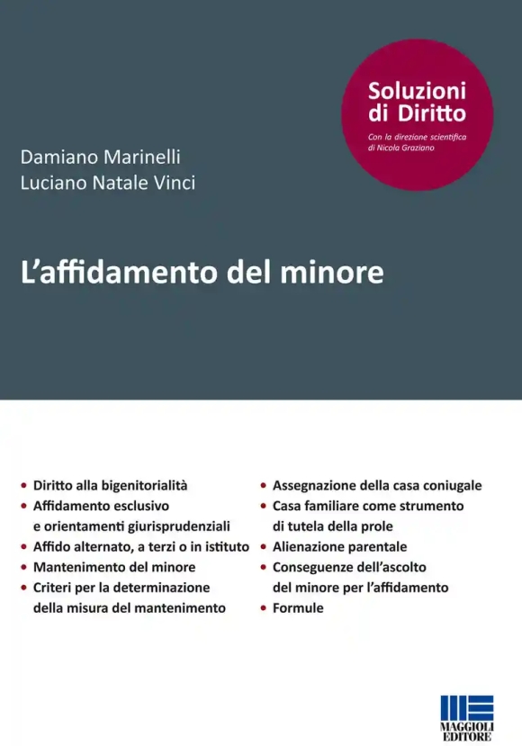 Affidamento Del Minore