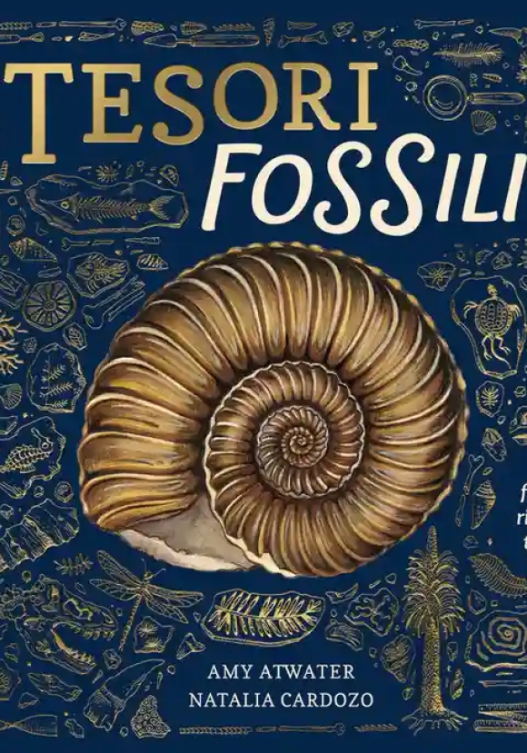 Tesori Fossili. Ediz. A Colori