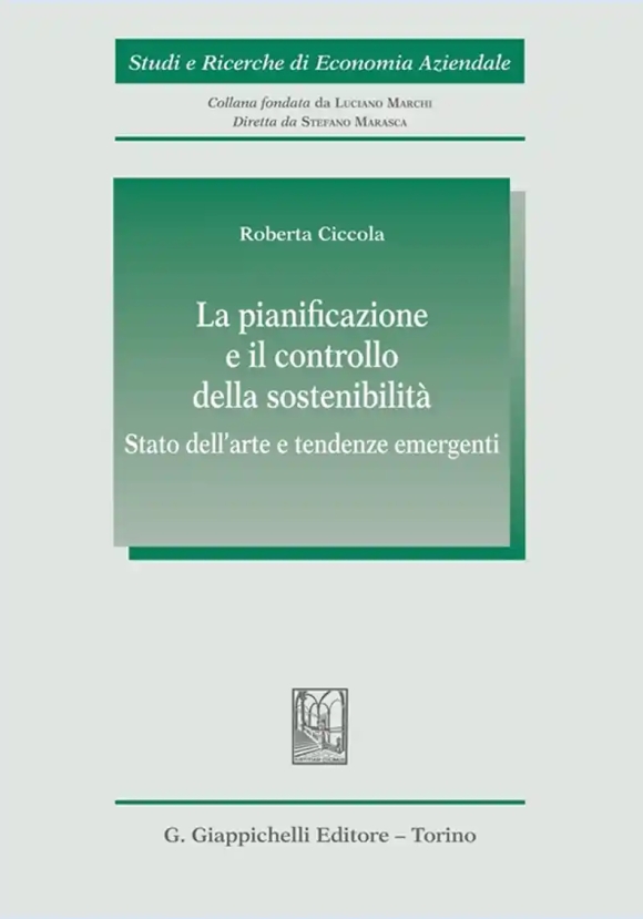 Pianificazione E Il Controllo