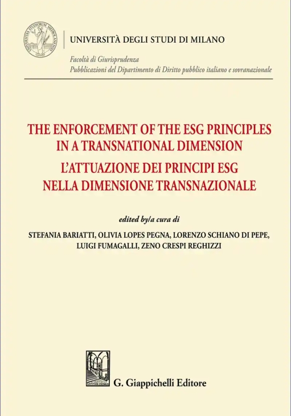 Enforcement The Esg Priciples