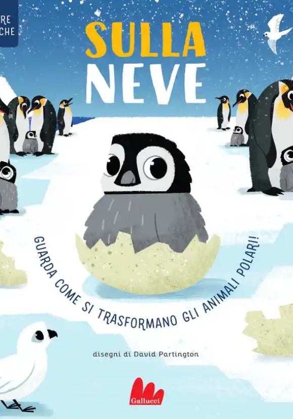 Figure Magiche. Sulla Neve N.e.