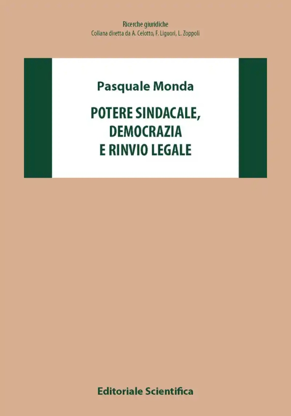 Potere Sindacale Democrazia Ri