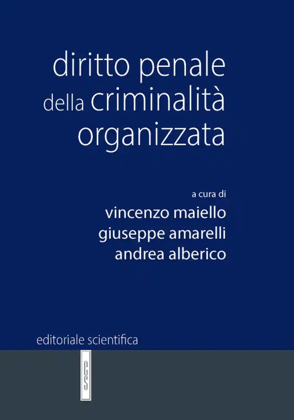 Diritto Penale Criminalita' Organizzata