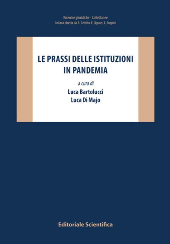 Prassi Istituzioni In Pandemia