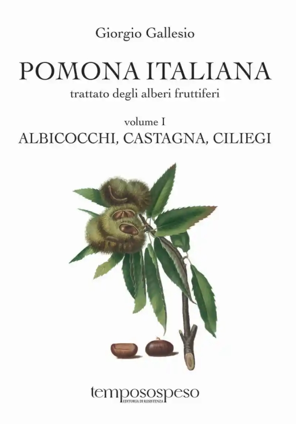 Pomona Italiana - Albicocchi