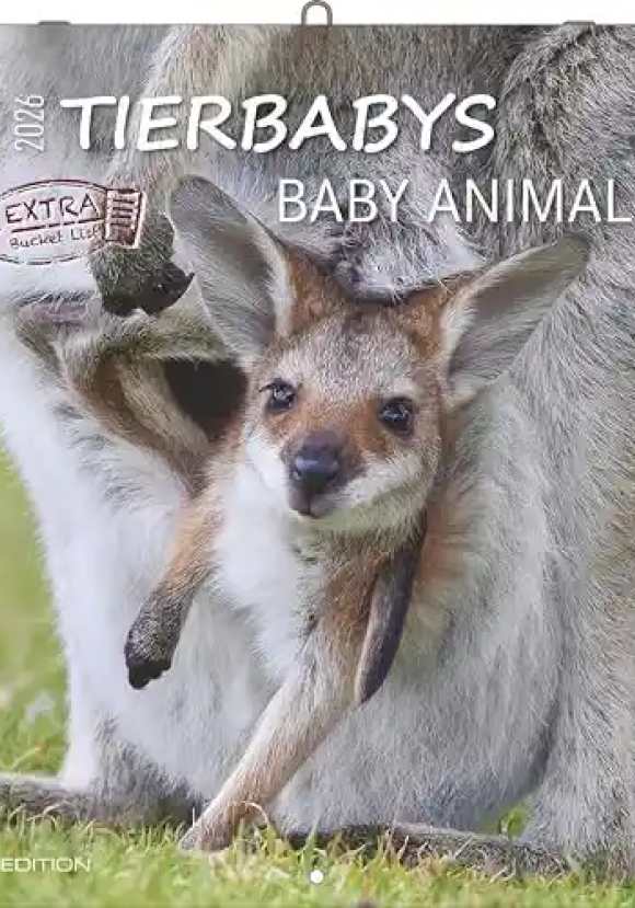 Calendario 2026 Baby Animals Cm 30x30