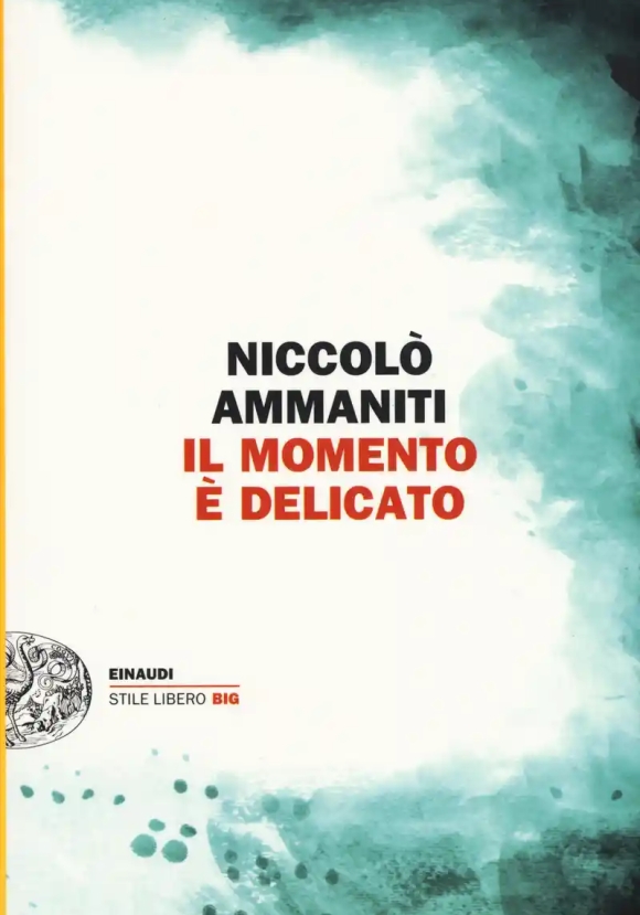 Momento ? Delicato (il)