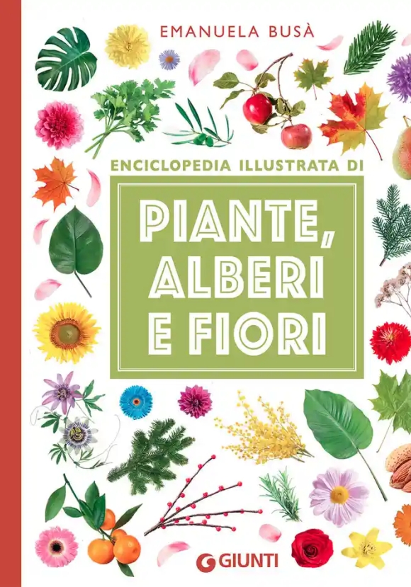 Enciclopedia Illustrata Di Piante, Alberi E Fiori