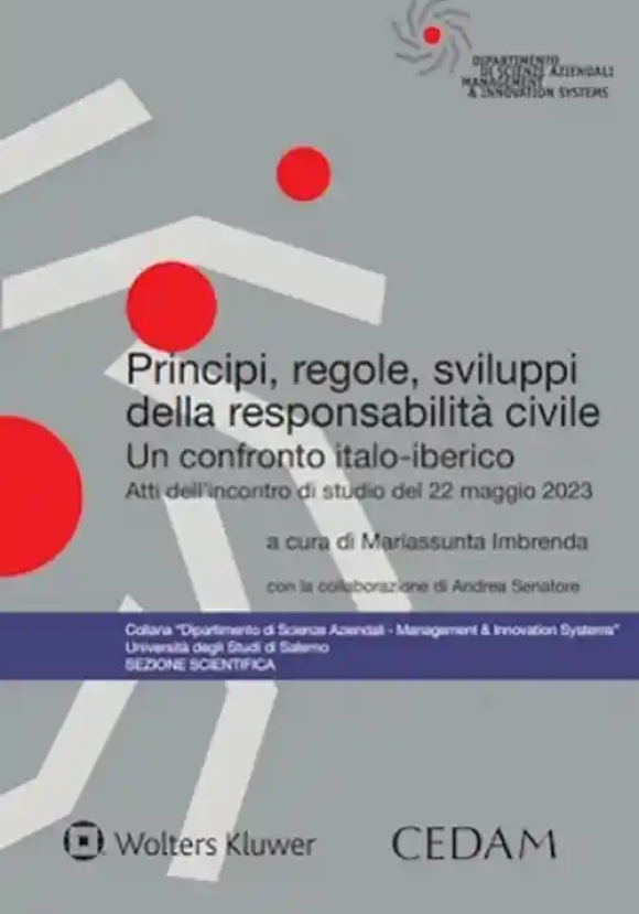 Principi Regole Sviluppi Del