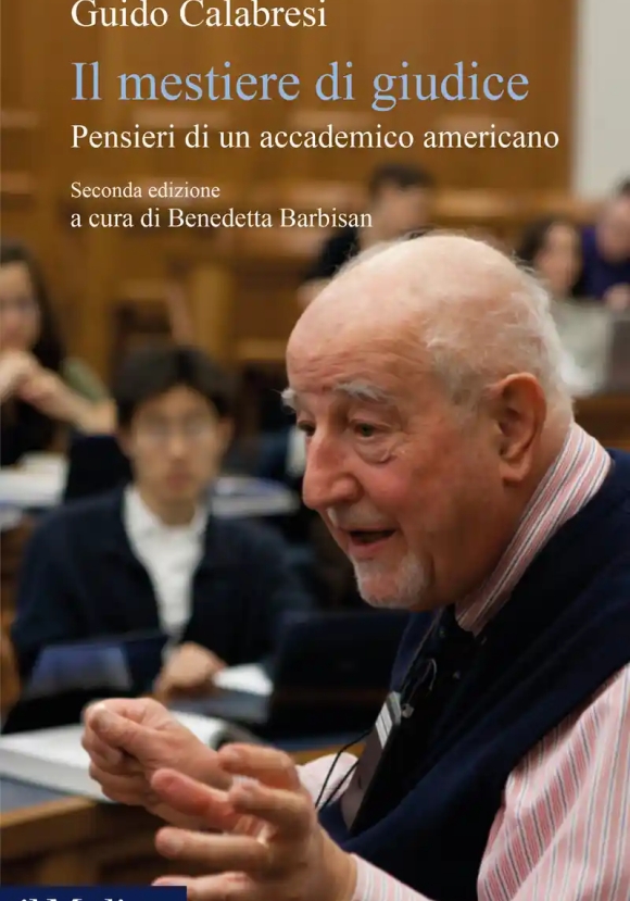 Mestiere Di Giudice (il)