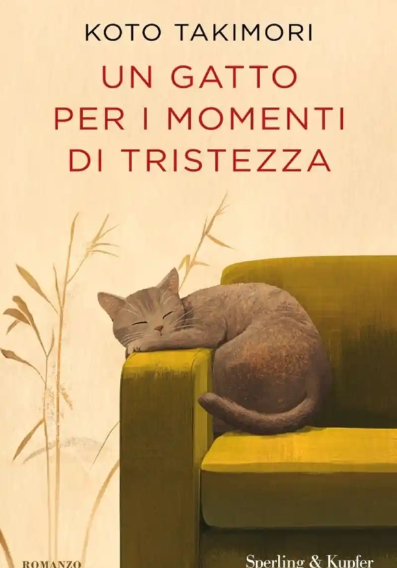 Gatto Per I Momenti Di Tristezza (un)