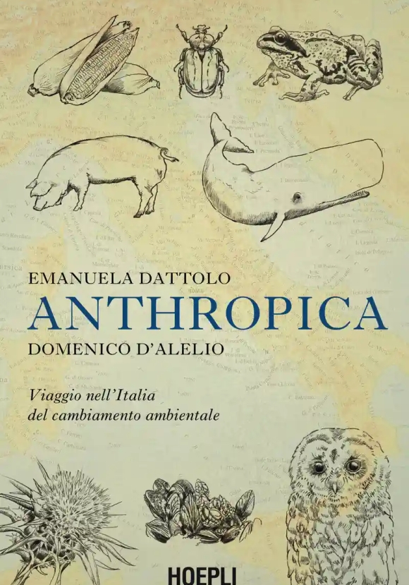Anthropica