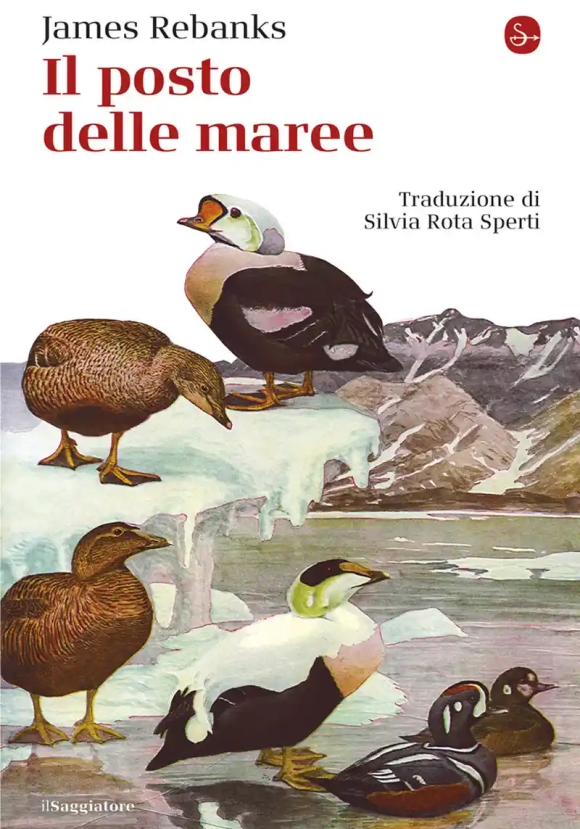 Posto Delle Maree (il)