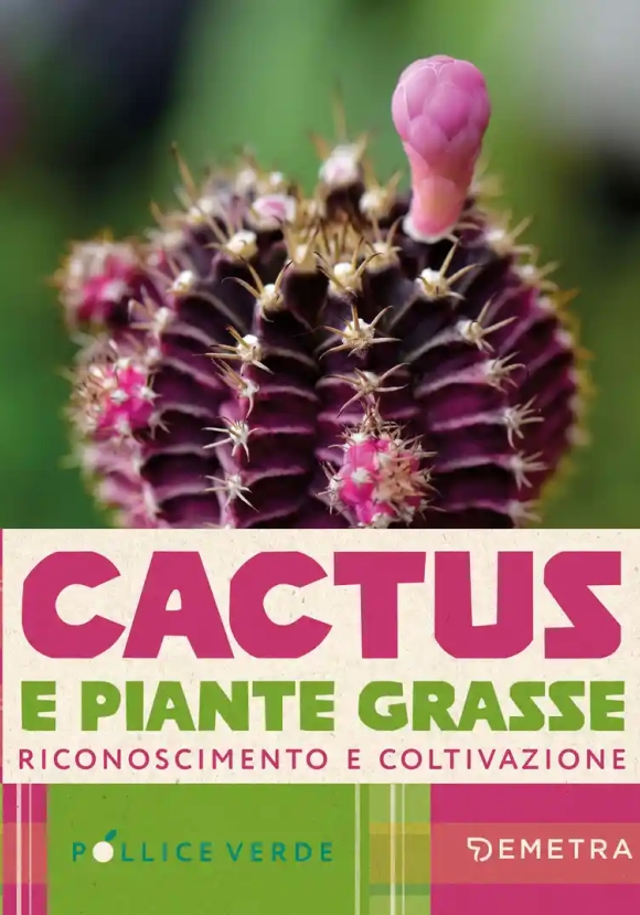 Cactus E Piante Grasse. Riconoscimento E Coltivazione