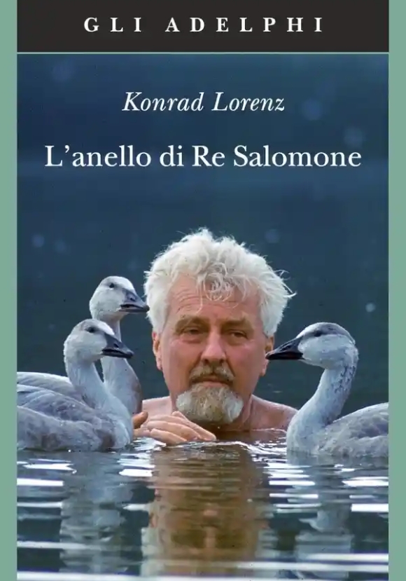 L'anello Di Re Salomone