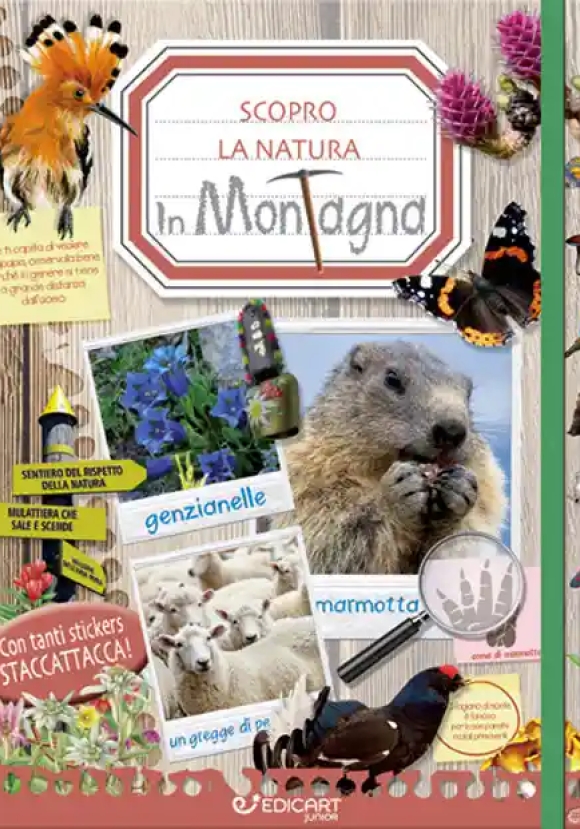 In Montagna. Scopro La Natura. Con Adesivi. Ediz. A Colori