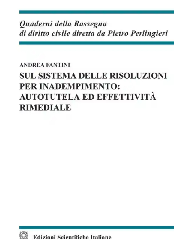 Sul Sistema Delle Risoluzioni