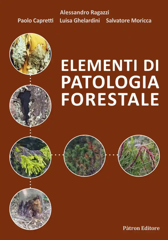 Elementi Patologia Forestale