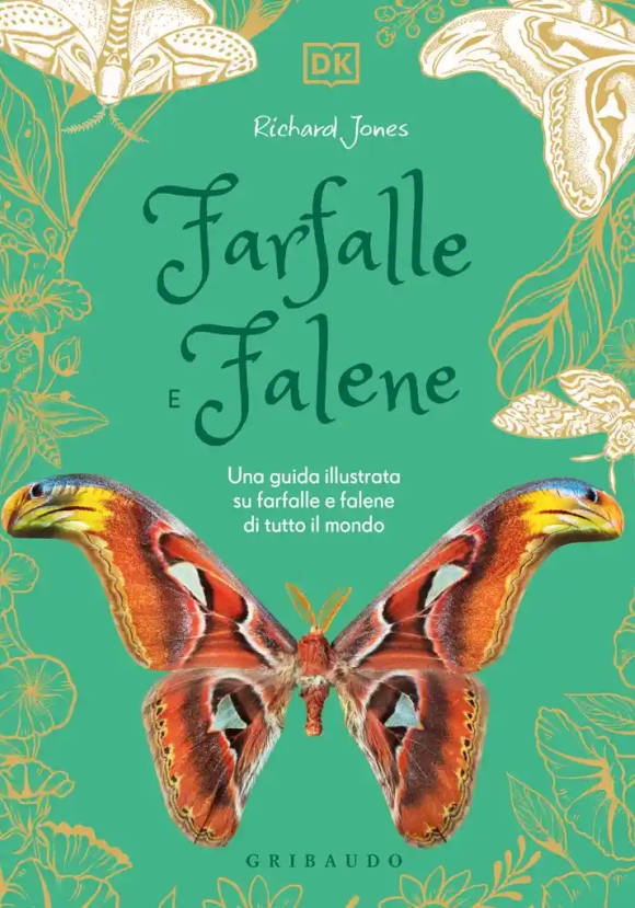 Farfalle E Falene