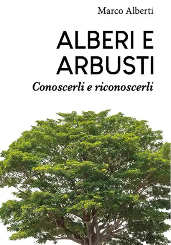Alberi E Arbusti