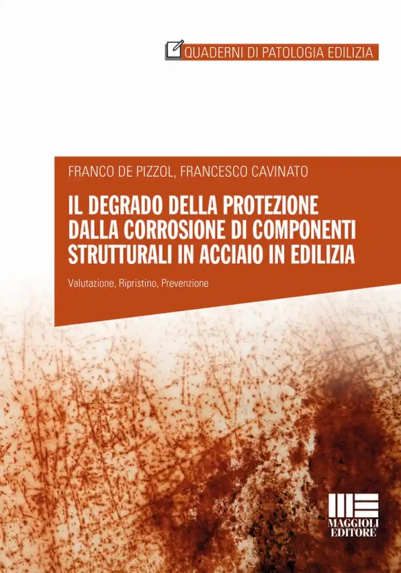 Degrado Componenti Acciaio Opere Costruz