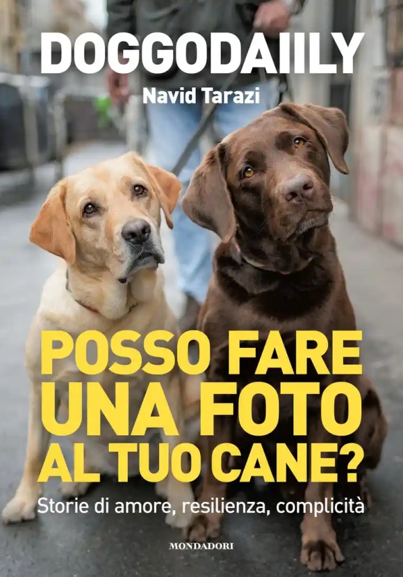 Posso Fare Una Foto Al Tuo Cane?