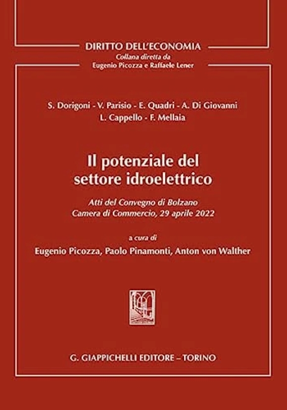 Potenziale Settore Idroelettrico