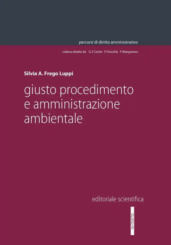 Giusto Procedimento E Amminist