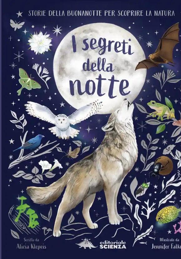 Segreti Della Notte. Ediz. A Colori (i)