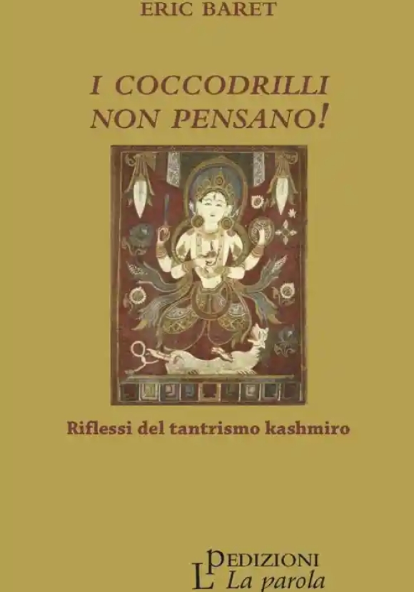 Coccodrilli Non Pensano