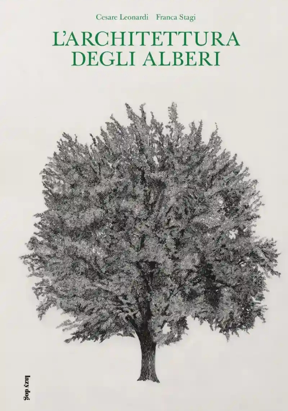 Architettura Degli Alberi