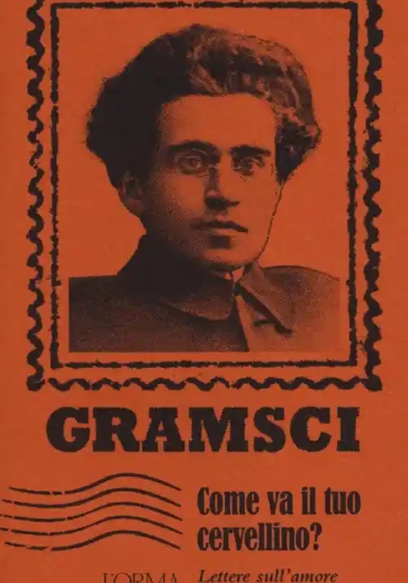 Come Va Il Tuo Cervellino? Lettere Sull'amore Per Lo Studio