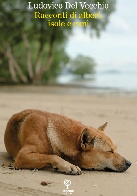 Racconti Di Alberi Isole E Can