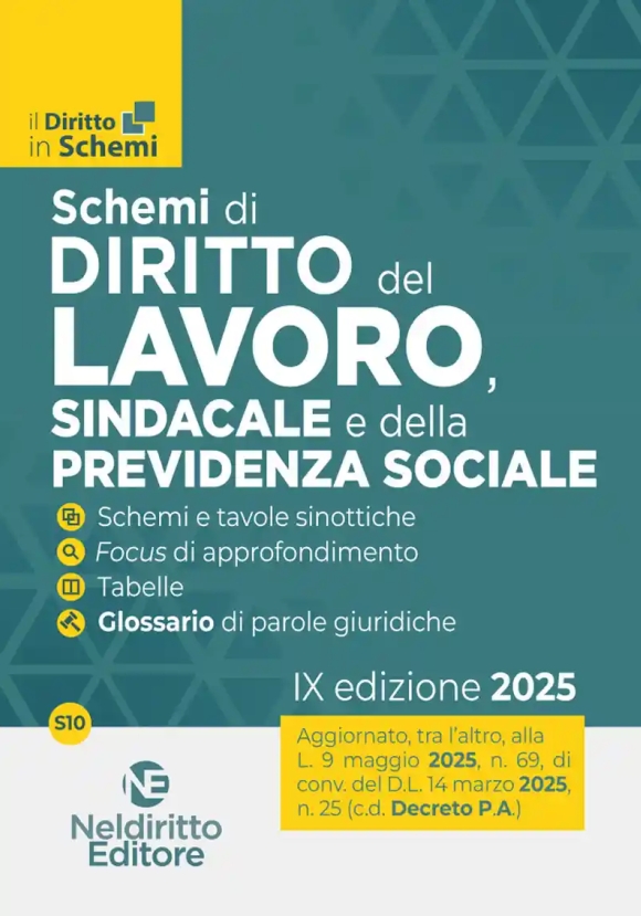 Schemi Diritto Lavoro Sindacale 2025
